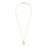 Stainless steel goldplated ketting met hanger hart voor dames