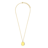 Stainless steel goldplated ketting met hanger munt voor dames