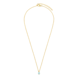 Stainless steel goldplated ketting met hanger met amazoniet voor dames