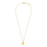 Stainless steel goldplated ketting met hanger hart voor dames