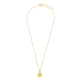 Stainless steel goldplated ketting met hanger met zirkonia voor dames