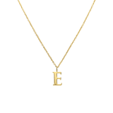 Vergoldete Edelstahlhalskette mit Buchstabe - E