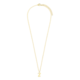 Stainless steel goldplated ketting met letterhanger Z voor dames