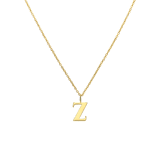 Stainless steel goldplated ketting met letterhanger Z voor dames