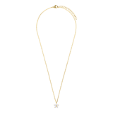 Stainless steel goldplated ketting met hanger bloem met zirkonia voor dames