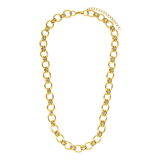 Stainless steel goldplated ketting voor dames