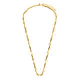 Stainless steel goldplated ketting met hanger met zirkonia voor dames