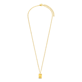 Stainless steel goldplated ketting met hanger ster met zirkonia voor dames