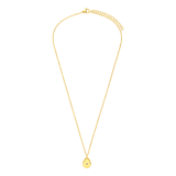 Stainless steel goldplated ketting met hanger druppel met zirkonia voor dames
