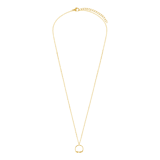 Stainless steel goldplated ketting met hanger cirkel voor dames