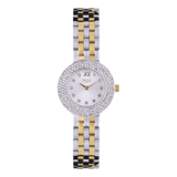 Regal cadeauset horloge met gratis collier bicolor