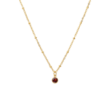 Stainless steel goldplated ketting met geboortesteen hanger Januari