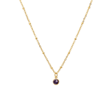 Stainless steel goldplated ketting met hanger geboortesteen Februari voor dames