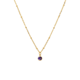 Stainless steel goldplated ketting met hanger geboortesteen Juni voor dames