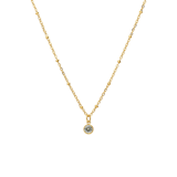 Stainless steel goldplated ketting met hanger geboortesteen November voor dames