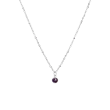 Stainless steel ketting met geboortesteen hanger februari