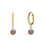 Stainless steel goldplated oorknoppen met geboortesteen April voor dames