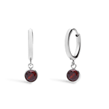 Stainless steel oorbellen met geboortesteen januari