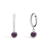 Stainless steel oorbellen met geboortesteen juni