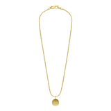 Guess stainless steel goldplated herenketting met hanger voor de LION KING