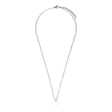 Stainless steel ketting met 2 hartjes voor dames
