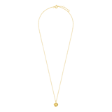 Zilveren goldplated ketting met hanger voor dames