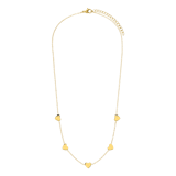 Stainless steel goldplated ketting harten