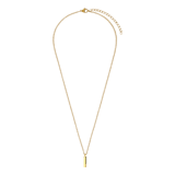 Stainless steel goldplating ketting met hanger voor dames