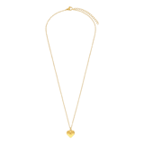 Stainless steel ketting met hanger voor dames