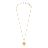 Stainless steel ketting met medaillon ovaal met zirkonia voor dames