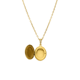 Stainless steel ketting met medaillon ovaal met zirkonia voor dames