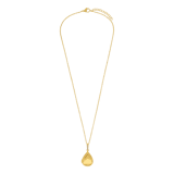 Stainless steel ketting met hanger medaillon met zirkonia voor dames