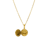 Stainless steel ketting met medaillon met zirkonia voor dames