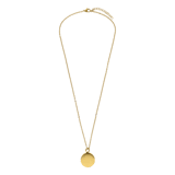 Stainless steel goldplated ketting met hanger ashanger