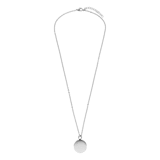 Stainless steel ketting met ashanger