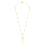 Stainless steel goldplated naamketting met hanger voor dames