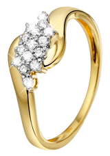 14 karaat geelgouden ring met 15 diamanten 0,25ct