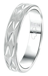 Gerecycled stainless steel dames ring