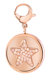 Stainless steel roséplated hanger ster met kristal voor dames