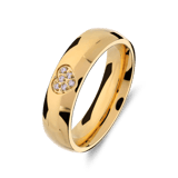 Stainless steel goldplated liefdesring Malaga met zirkonia voor dames