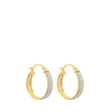 9 karaat oorringen rond 17mm voor dames