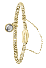 Stainless steel goldplated fantasiearmband met hanger met kristal voor dames