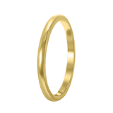 Zilveren ring goldplated