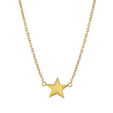 Zilveren goldplated ketting met hanger ster voor dames
