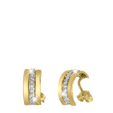 14 Karaat bicolor oorbellen met zirkonia