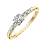 14 karaat geelgouden ring entourage diamant 0,09ct