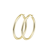 Stainless steel goldplated oorringen voor dames