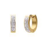 Colours by Kate gerecycled stainless steel goldplated oorringen wit kristal voor dames