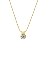 Stainless steel goldplated ketting met hanger met zirkonia voor dames