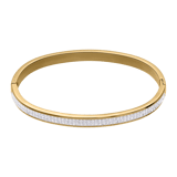 Stainless steel goldplated bangle met kristal voor dames